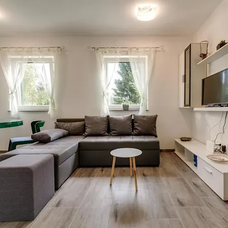 Holiday home House With A Parking Space Fuzine, Gorski Kotar - 20518 Lokve